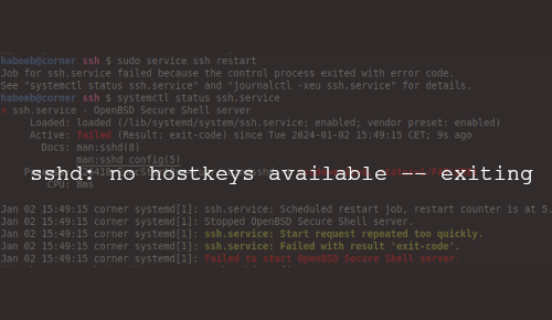 Erreur: sshd: no hostkeys available -- exiting