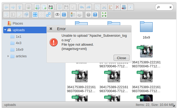 CKFinder: File type not allowed. (image/svg+xml)